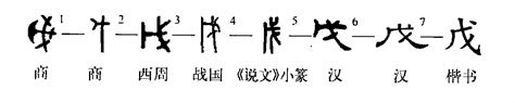 戊戊|细说汉字：戊